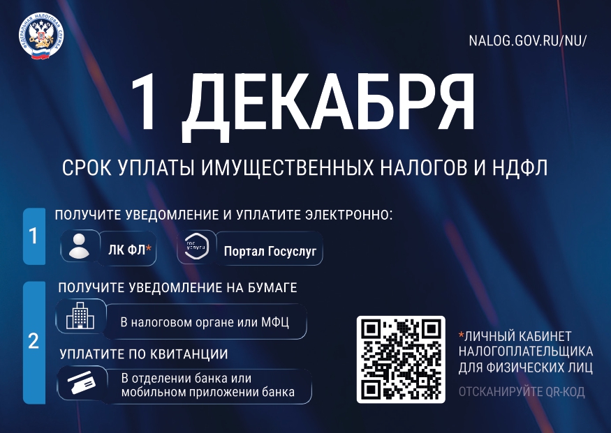 Уплатите налоги не позднее 1 декабря 2026 года